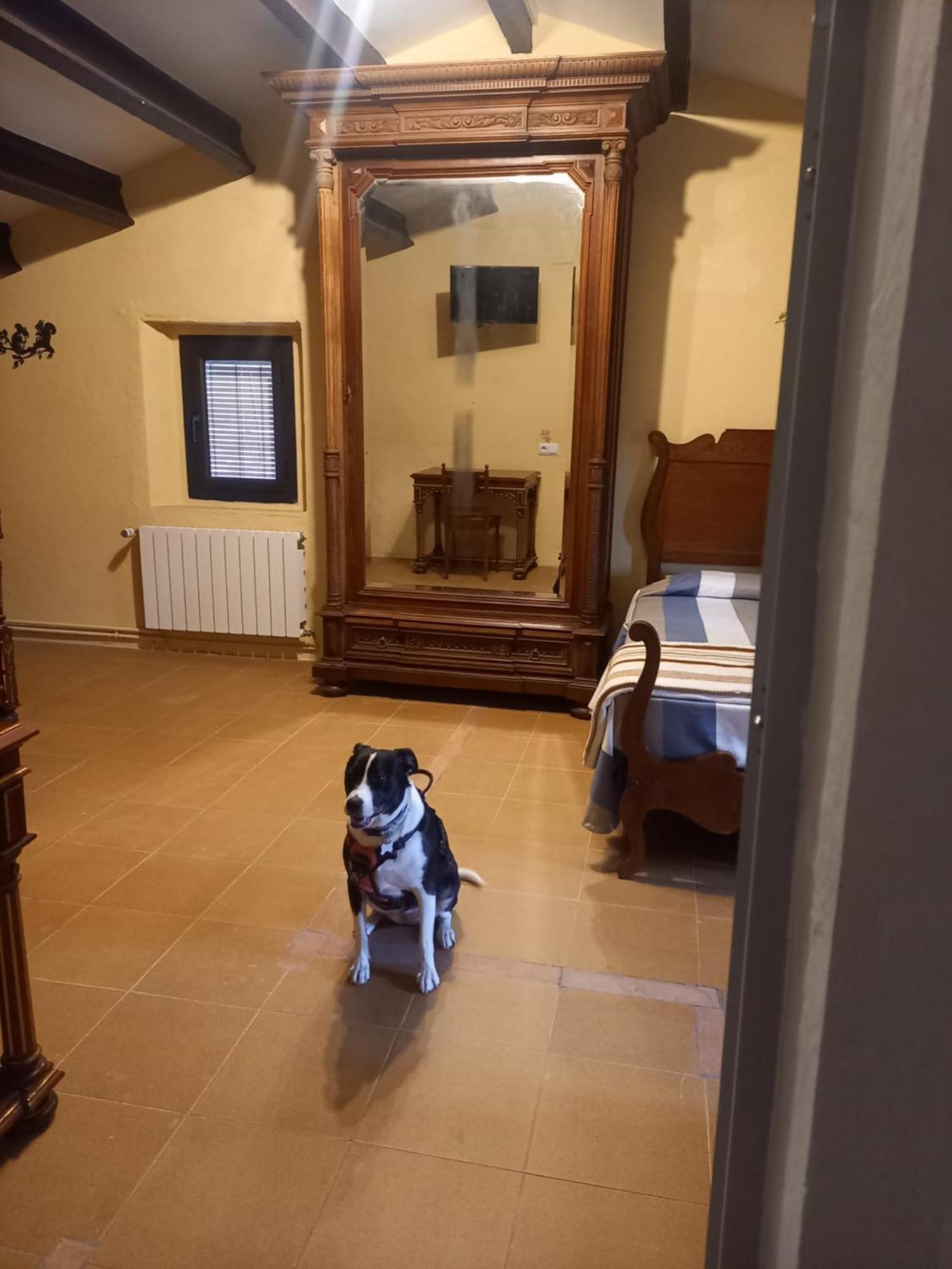 Hostal Rural Mas Blanc San Martín de Centellas 외부 사진