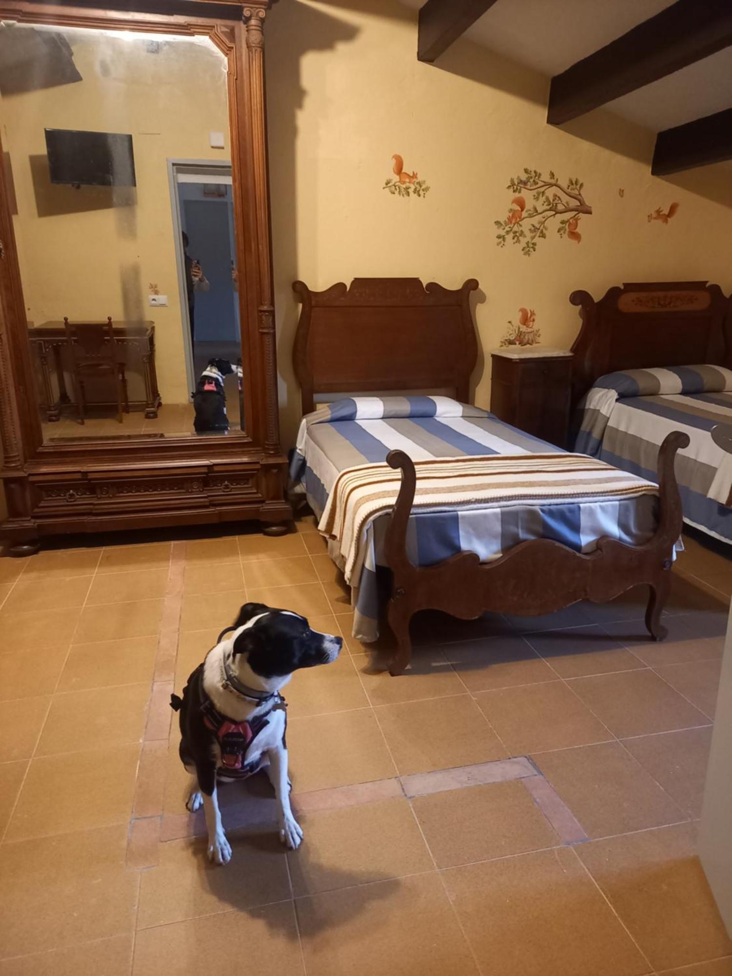 Hostal Rural Mas Blanc San Martín de Centellas 외부 사진